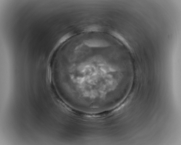 X0000114561219200910191425