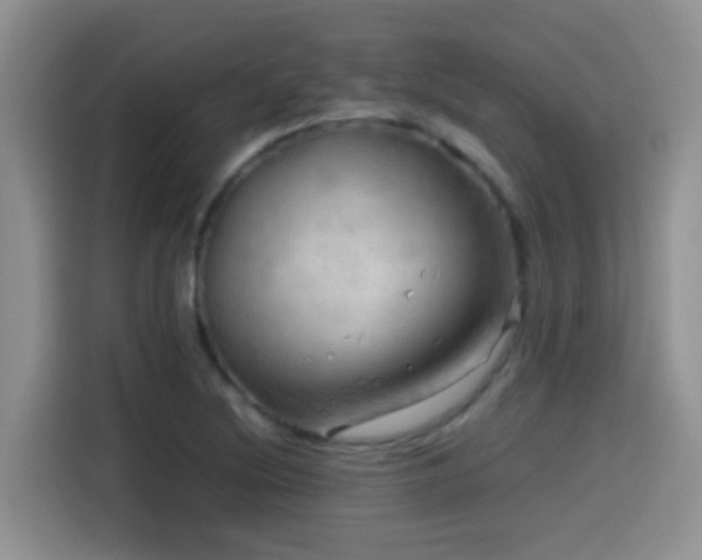 X0000114561220200910191425