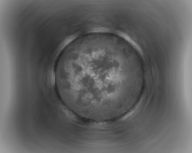 X0000114561221200910191425
