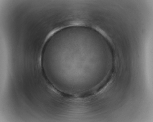 X0000114561222200910191425