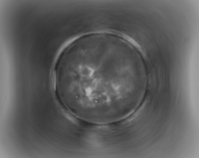 X0000114561223200910191425