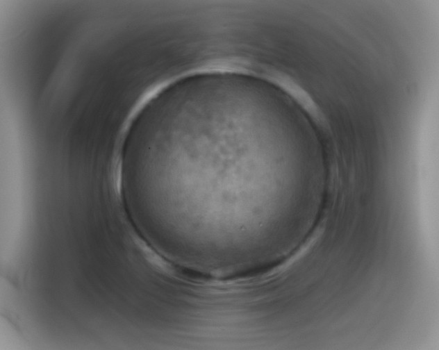 X0000114561224200910191425