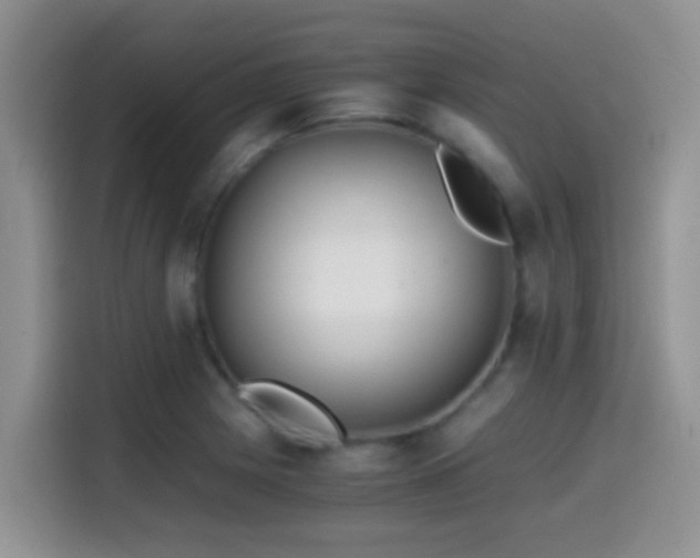X0000114561225200910191425