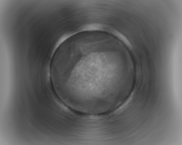 X0000114561226200910191425