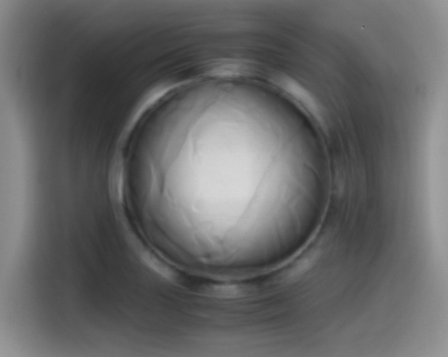 X0000114561227200910191425