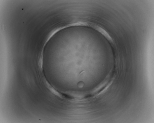 X0000114561228200910191425