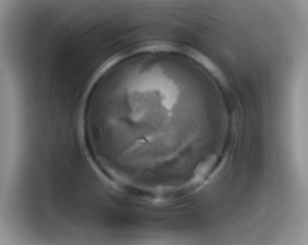 X0000114561229200910191425