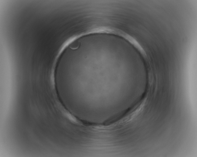 X0000114561230200910191425