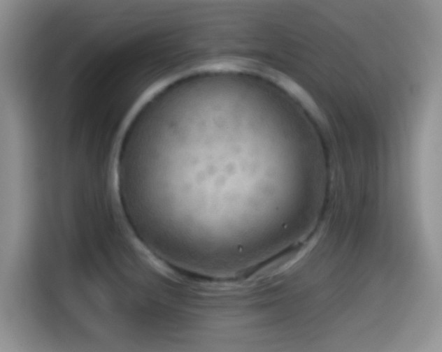 X0000114561232200910191425