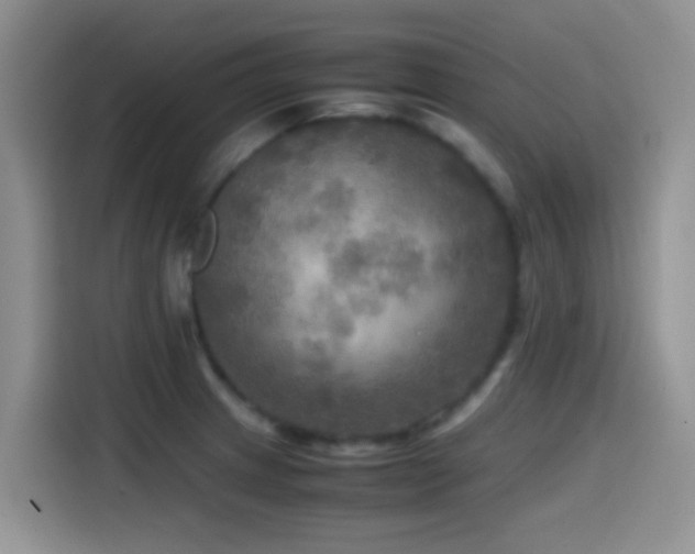 X0000114561233200910191425