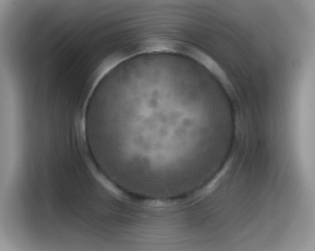 X0000114561234200910191425