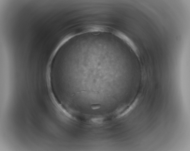 X0000114561235200910191425
