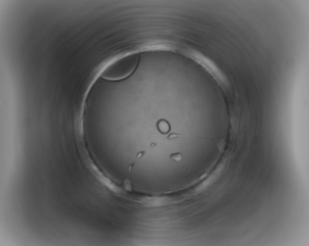 X0000114561236200910191425