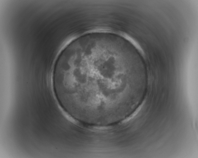 X0000114561237200910191425