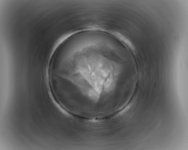 X0000114561239200910191425