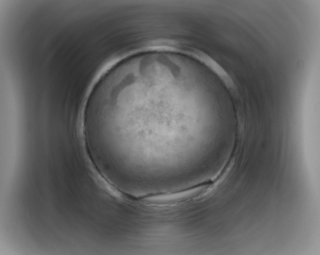 X0000114561240200910191425
