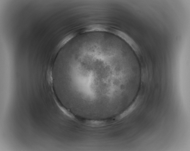 X0000114561241200910191425