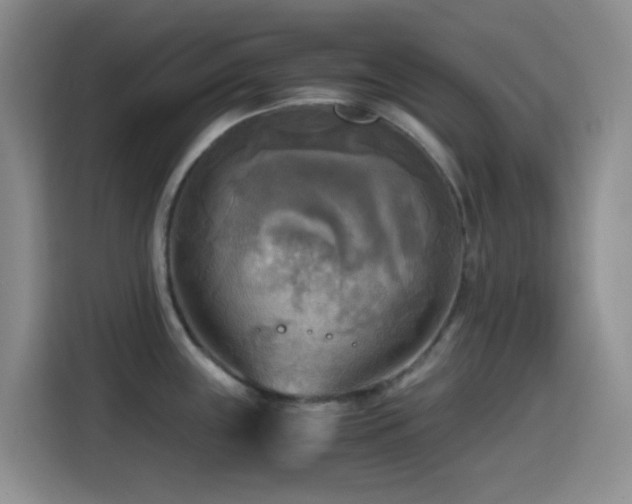 X0000114561243200910191425