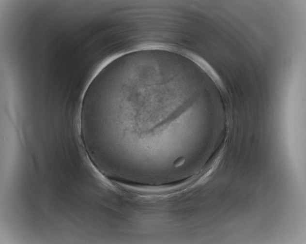 X0000114561244200910191425