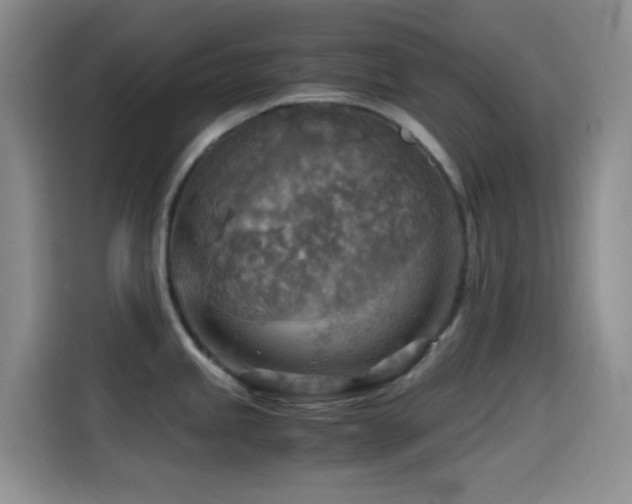 X0000114561245200910191425