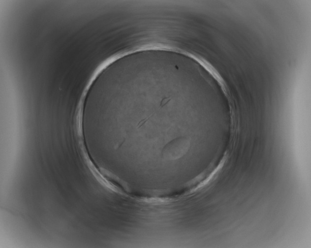X0000114561246200910191425