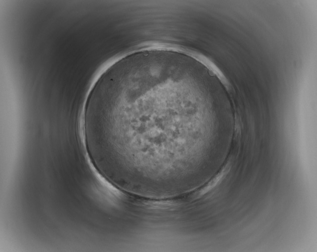 X0000114561247200910191425