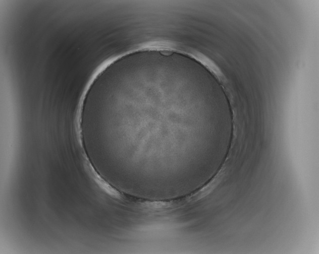 X0000114561248200910191425