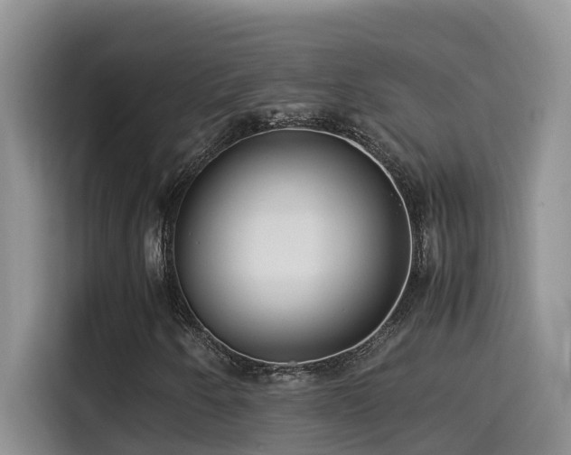 X0000114561250200910191424