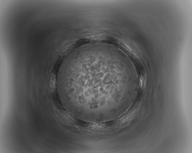 X0000114561251200910191424