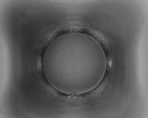 X0000114561252200910191424