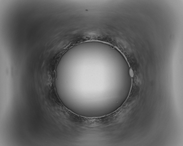 X0000114561253200910191424
