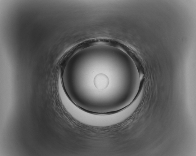 X0000114561255200910191424