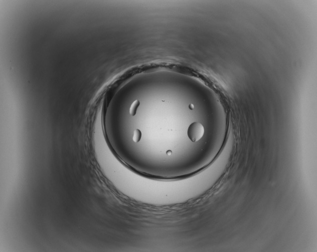 X0000114561256200910191424