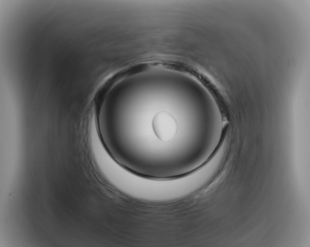 X0000114561259200910191424