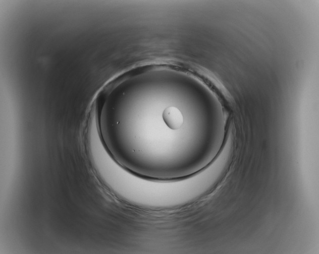 X0000114561260200910191424
