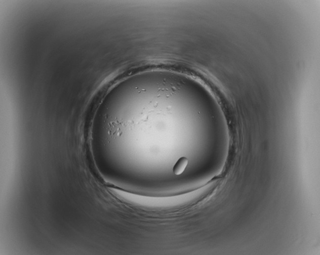 X0000114561261200910191424