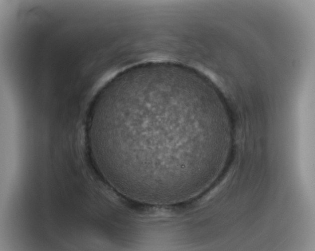 X0000114561263200910191424