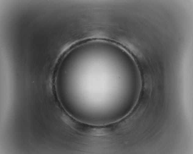 X0000114561264200910191424
