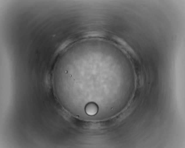 X0000114561266200910191424