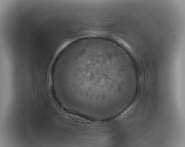 X0000114561267200910191424