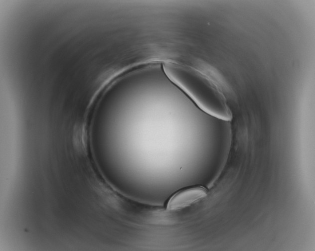 X0000114561268200910191424
