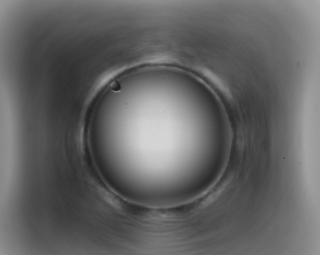 X0000114561270200910191424