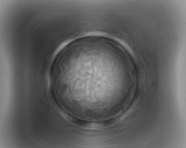 X0000114561271200910191424