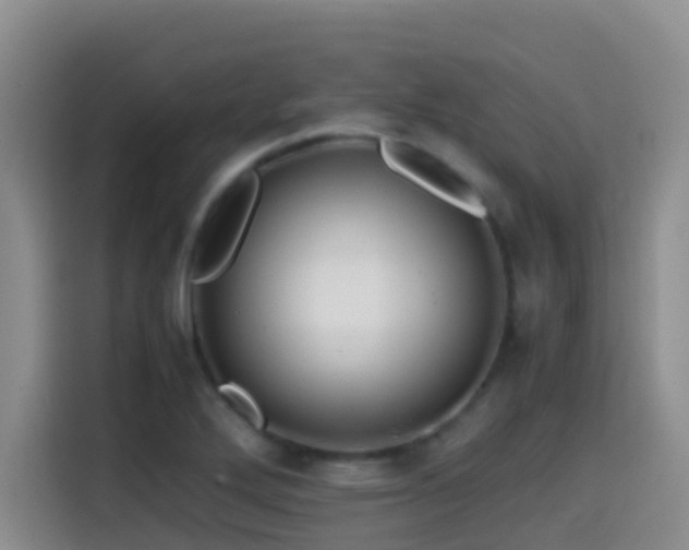 X0000114561272200910191424