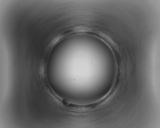 X0000114561273200910191424
