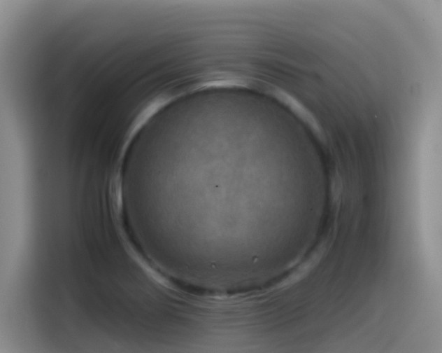 X0000114561274200910191424