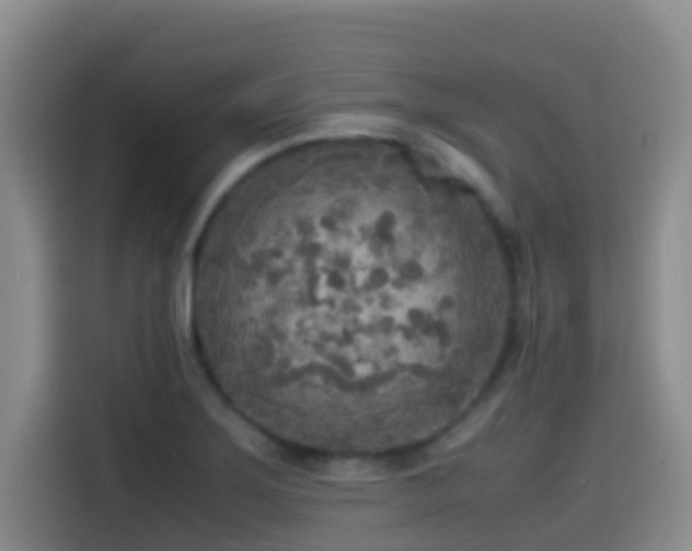 X0000114561275200910191424