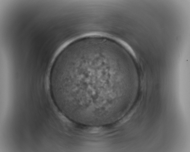 X0000114561279200910191424