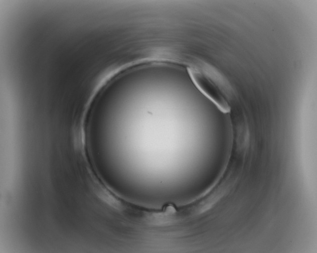 X0000114561280200910191424