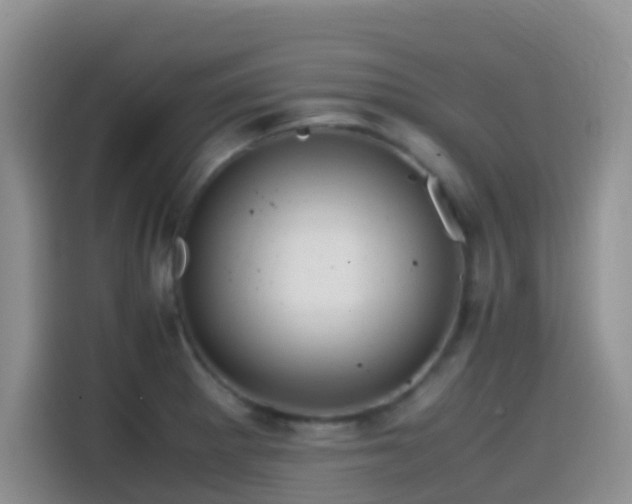 X0000114561281200910191424